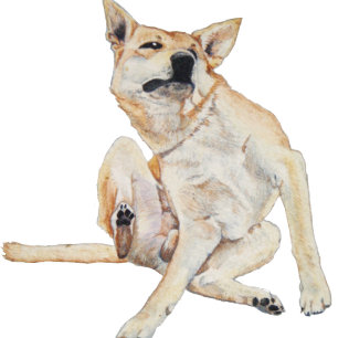 Camiseta cão itchy que risca a pintura com slogan engraça