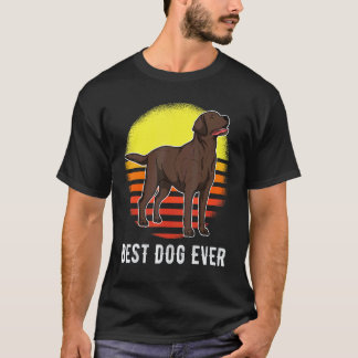 Camiseta Cão Labrador Retriever Pôr do Sol 34