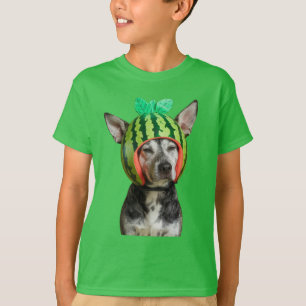Camiseta Cão Refrigerado com capacete de melancia