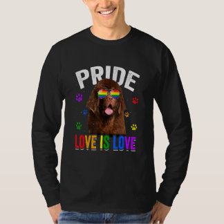 Camiseta Cão Sinalizador Arco-Íris Orgulho gay Lgbt - Terra
