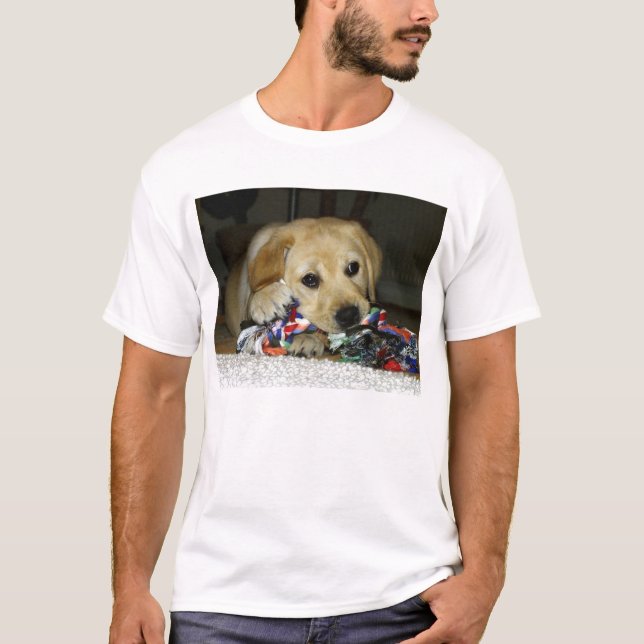 Camiseta Cãozinho amarelo LR com brinquedo (Frente)