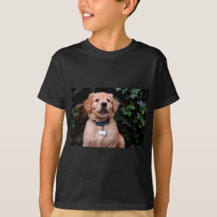 Camiseta Cãozinho, Ouro de foto de cachorrinho bonito - Ret