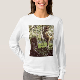 Camiseta Capa longa das senhoras