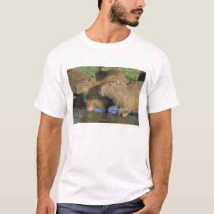 Camiseta Capivara, Hydrochaeris hydrochaeris), mundo's