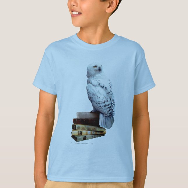 Camiseta Captura de livros (Frente)