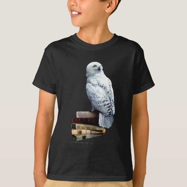 Camiseta Captura de livros (Frente)