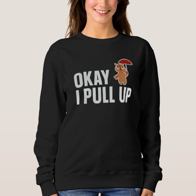 Camiseta Capybara Ok I Pull Up  Capybara (Frente)