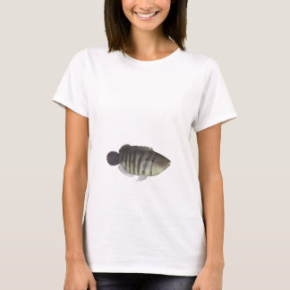 Camiseta Cará-açu