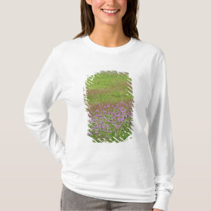 Camiseta Cará-da-floresta (Daucus carota) crescendo