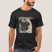 Cara de cachorro pug engraçado e fofo meme borrado