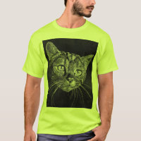Cara do gato meu desenho do segundo grau