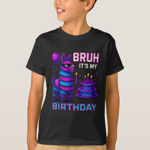 Camiseta Cara, é meu aniversário, Llama Pinata engraçado, a