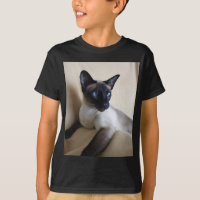Cara lindo do gato Siamese