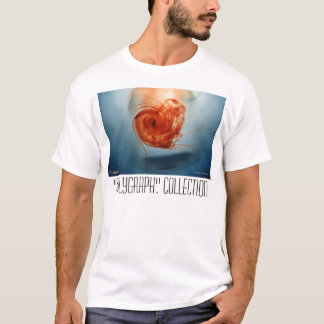 Camiseta Caracol