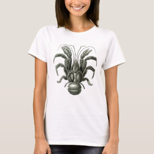 Camiseta Caranguejo de coco