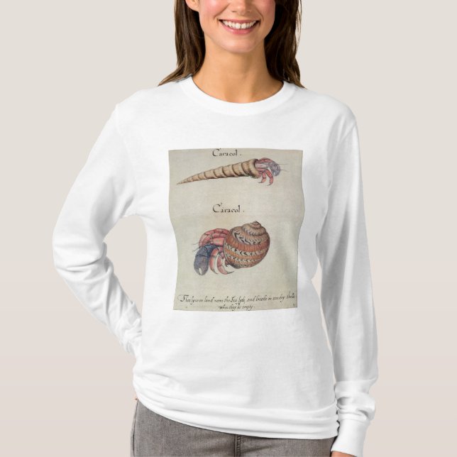 Camiseta Caranguejo de eremita (Frente)