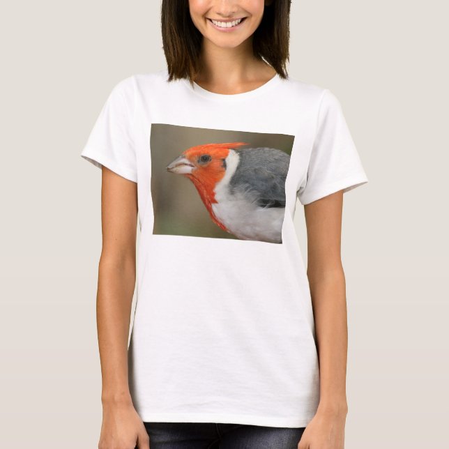 Camiseta Cardeal com crista vermelho (Frente)
