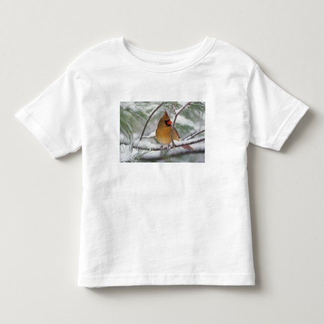 Camiseta Cardeal de Norte feminino em pinheiro de neve. (Frente)