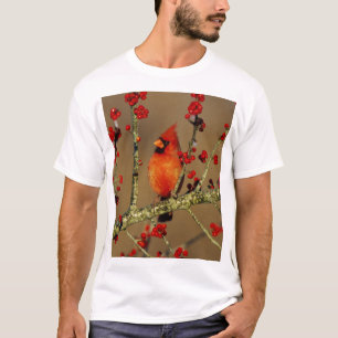 Camiseta Cardinal-vermelho macho empoleirado, IL