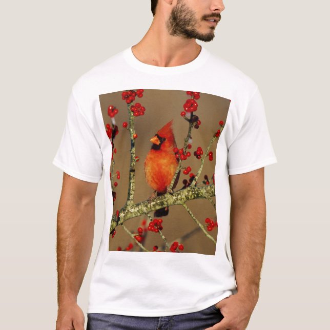 Camiseta Cardinal-vermelho macho empoleirado, IL (Frente)
