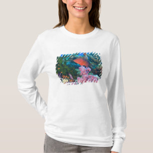 Camiseta cardume de Fairy Basslets  (Pseudanthias