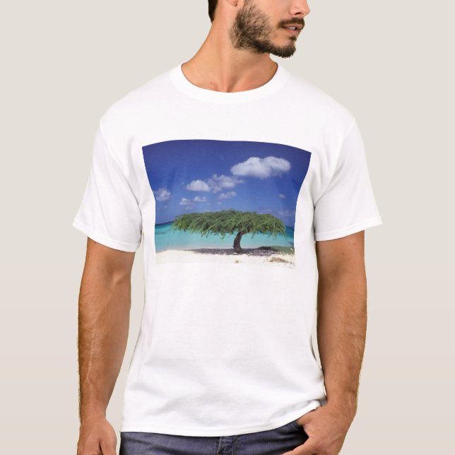 Camiseta Caribe, Aruba. Praia Eagle (Frente)