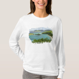 Camiseta Caribe, Ilhas Virgens Americanas, St. John, Tronco