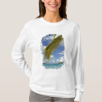 Caribe, Ilhas Virgens Americanas, St.Thomas,