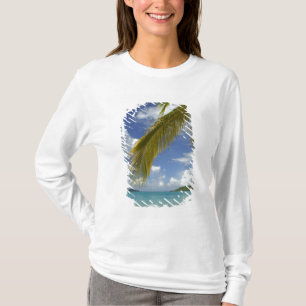 Camiseta Caribe, Ilhas Virgens Americanas, St.Thomas,