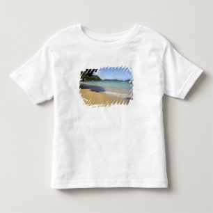 Camiseta Caribe - Tobago - Praia ao longo do Atlântico