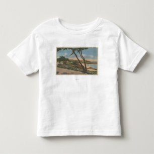 Camiseta Carmel, CA - casas ao longo da opinião da costa