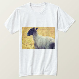 Camiseta Carneiros