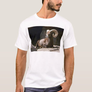 Camiseta Carneiros de veado selvagem do deserto (ram adulta