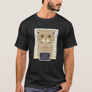 Camiseta Caro Pai Posso Explicar Que Gato De Dobra Escocês