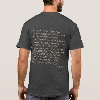 Camiseta Caro Sagrado de Jesus T Shirt
