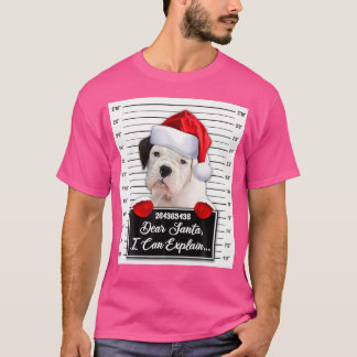 Camiseta Caros Papais noeis Eu Posso Explicar A Engraçada C