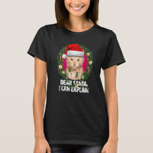 Camiseta Caros Papais noeis, Gato Gato Vermelho e Bonito pa