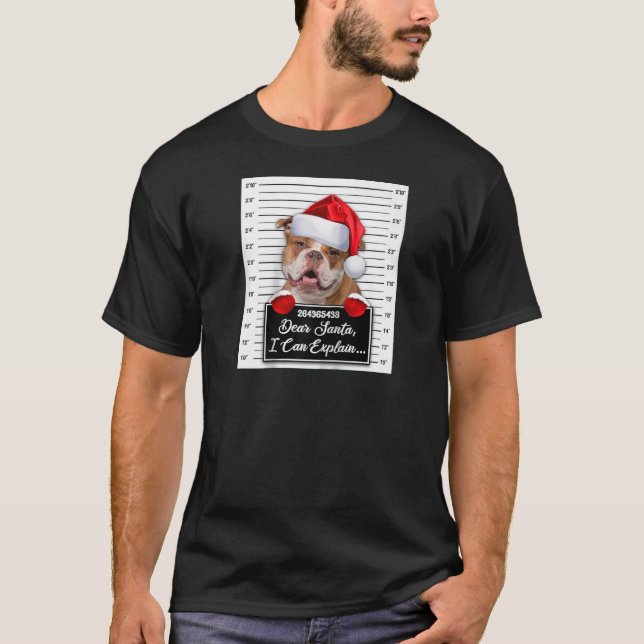 Camiseta Caros Papais noeis, Posso Explicar Engraçada Noite (Frente)