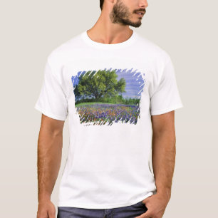 Camiseta Carvalho Vivo & Pincel de Pintura do Texas, e Texa