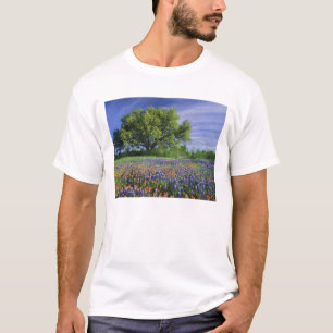 Camiseta Carvalho Vivo & Pincel de Texas, e Texas