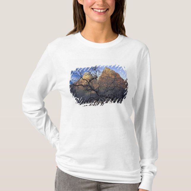 Camiseta Carvalhos no inverno, Corte dos Patriarcas (Frente)