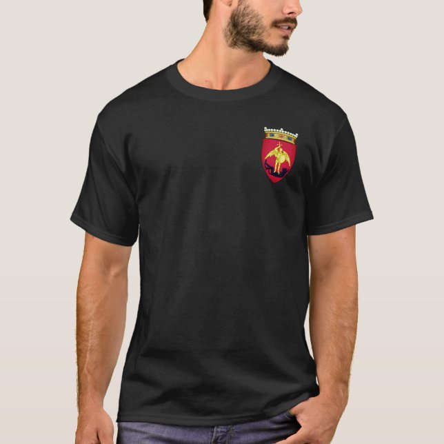 Camiseta Casaco de Armas da Cidade de Bruxelas (Frente)
