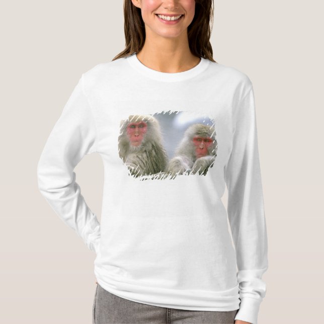 Camiseta Casais de Macaco da Neve, Macaco Japonês, (Frente)