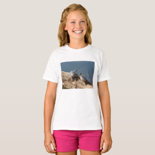 Camiseta Casal Tartaruga Meninas