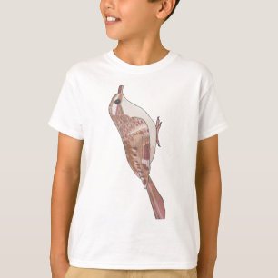Camiseta Castanho-Cripó-espécie-animal arte selvagem