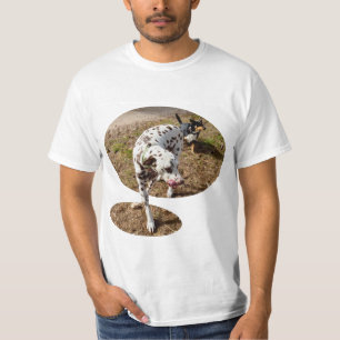 Camiseta Castanho E Branco Dalmaciano,