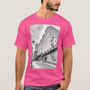 Camiseta Castelo Szczecin