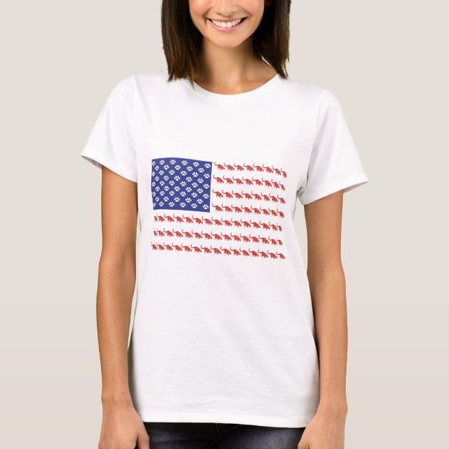 Camiseta Cat-Flag-Tee (Frente)