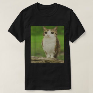 Camiseta Cat Owl Meme   Design híbrido animal amaldiçoado