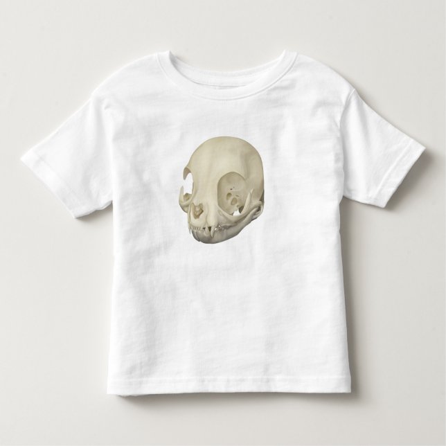 Camiseta Cat Skull (Frente)